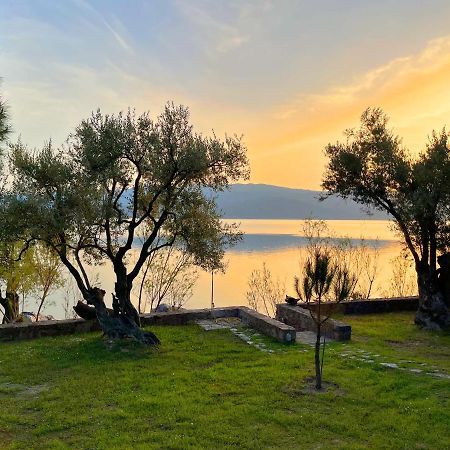 Vila Seafront Traditional Stone House In Sunset Olive Grove - B Alyfanta Exteriér fotografie