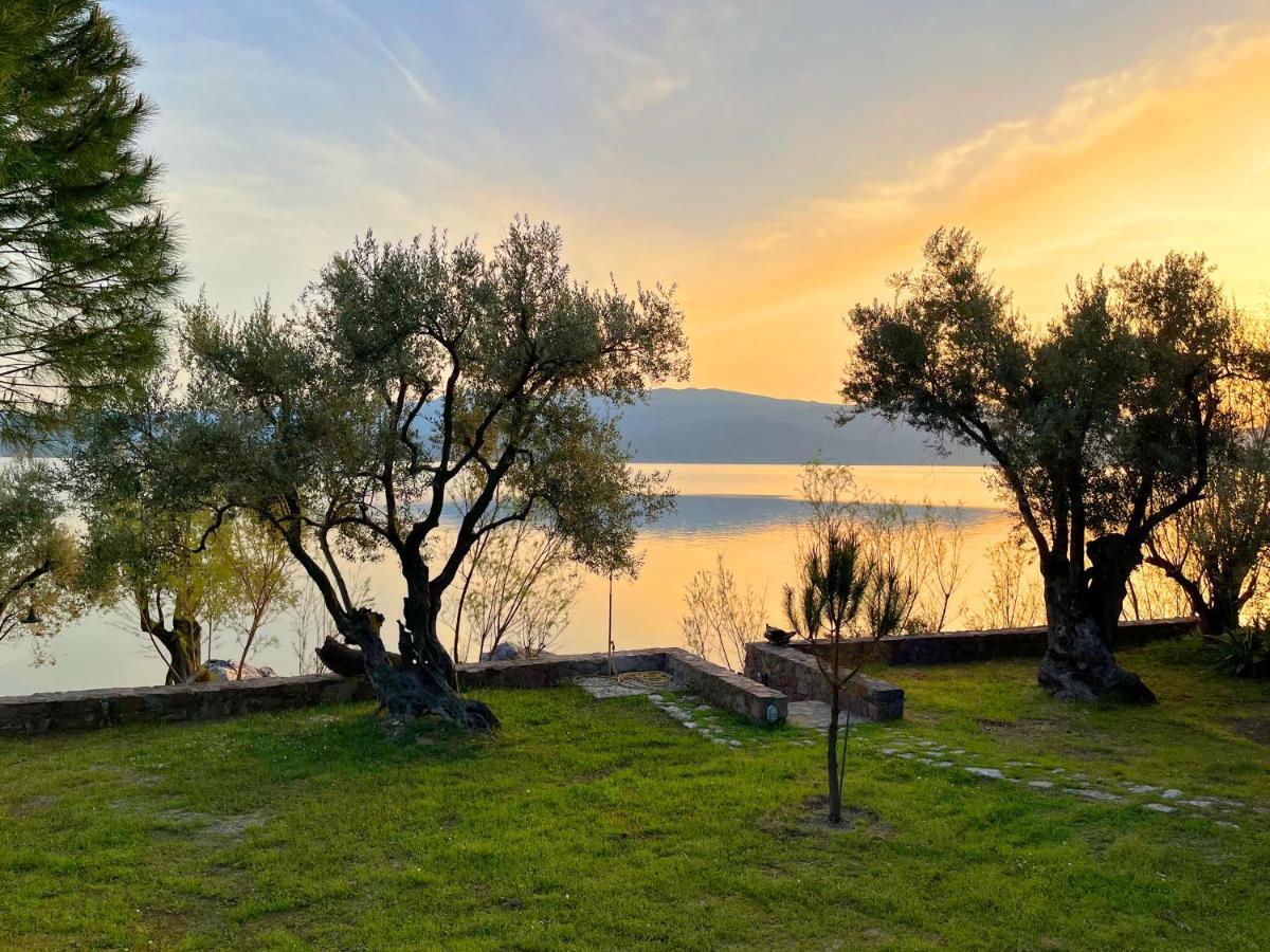 Vila Seafront Traditional Stone House In Sunset Olive Grove - B Alyfanta Exteriér fotografie