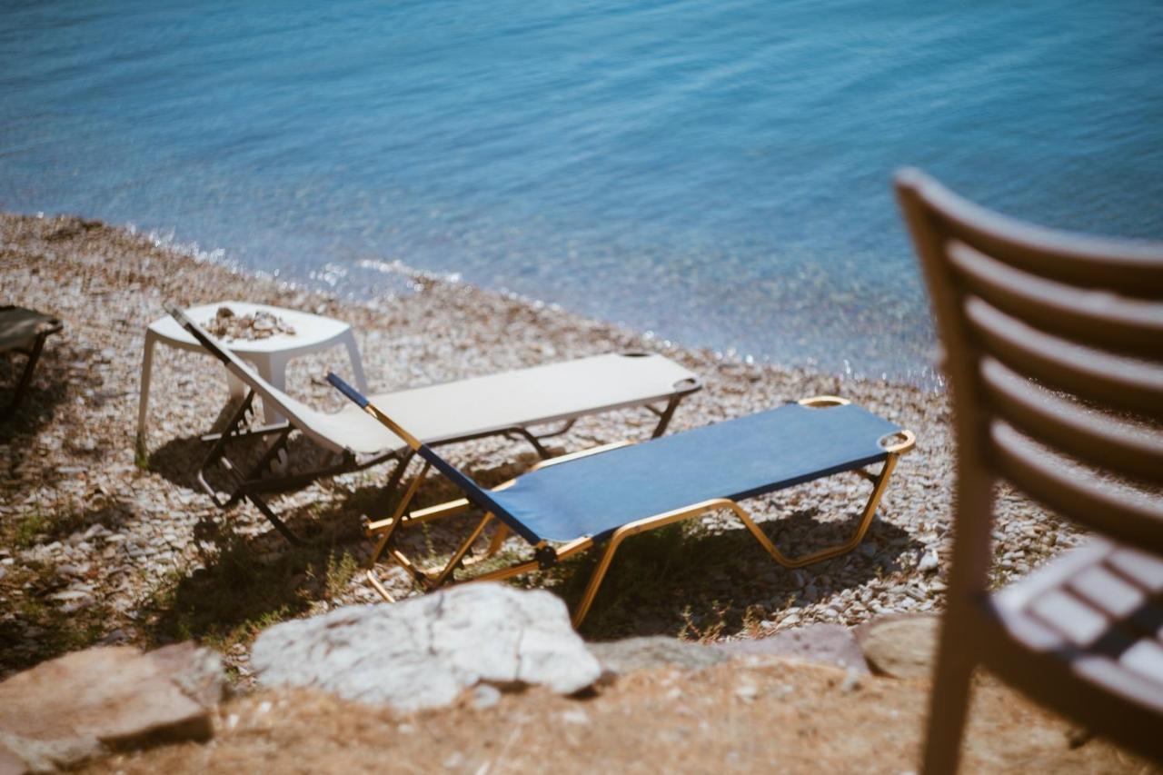 Vila Seafront Traditional Stone House In Sunset Olive Grove - B Alyfanta Exteriér fotografie