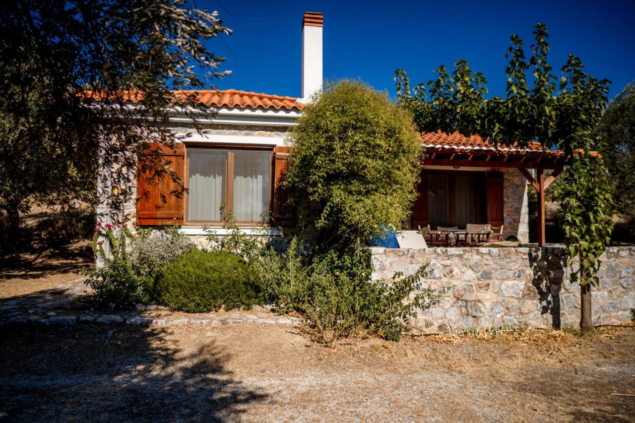 Vila Seafront Traditional Stone House In Sunset Olive Grove - B Alyfanta Exteriér fotografie