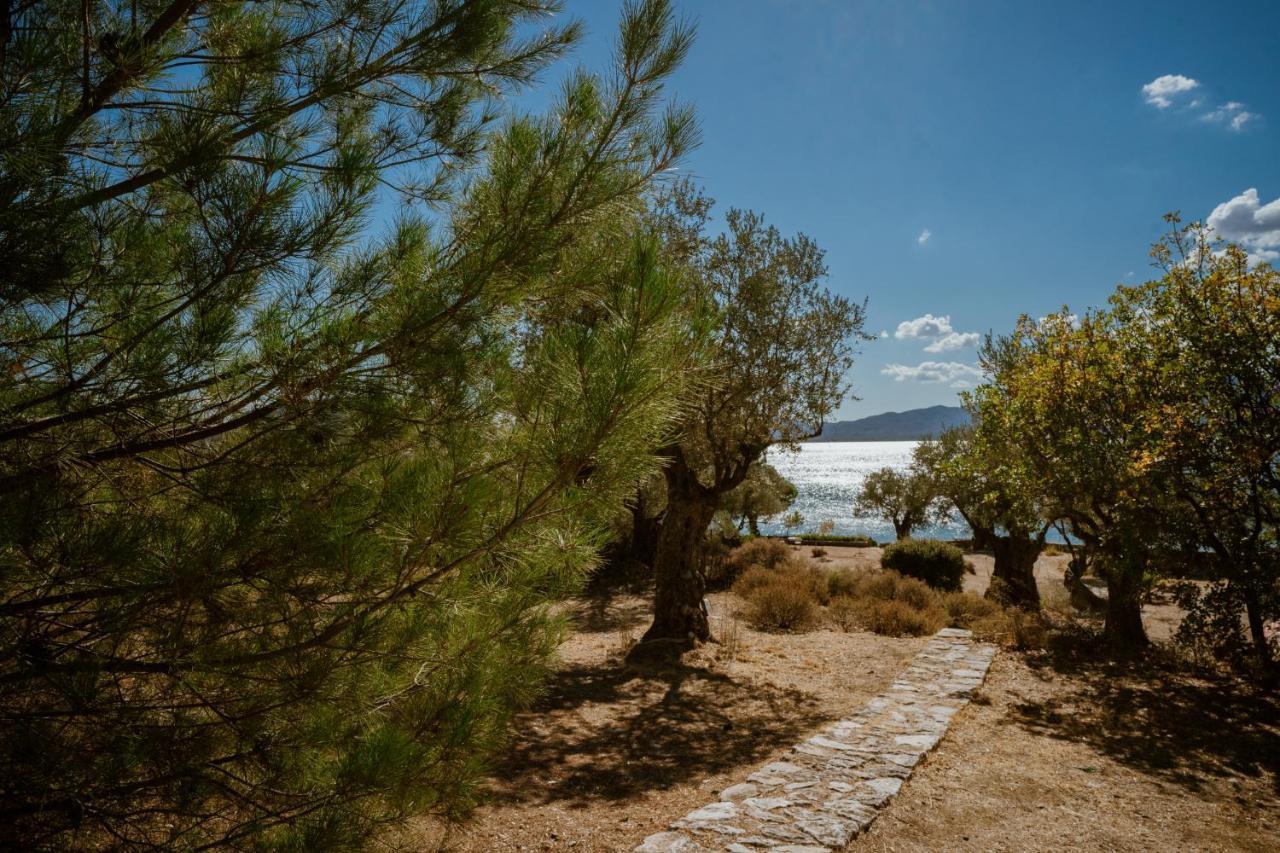 Vila Seafront Traditional Stone House In Sunset Olive Grove - B Alyfanta Exteriér fotografie