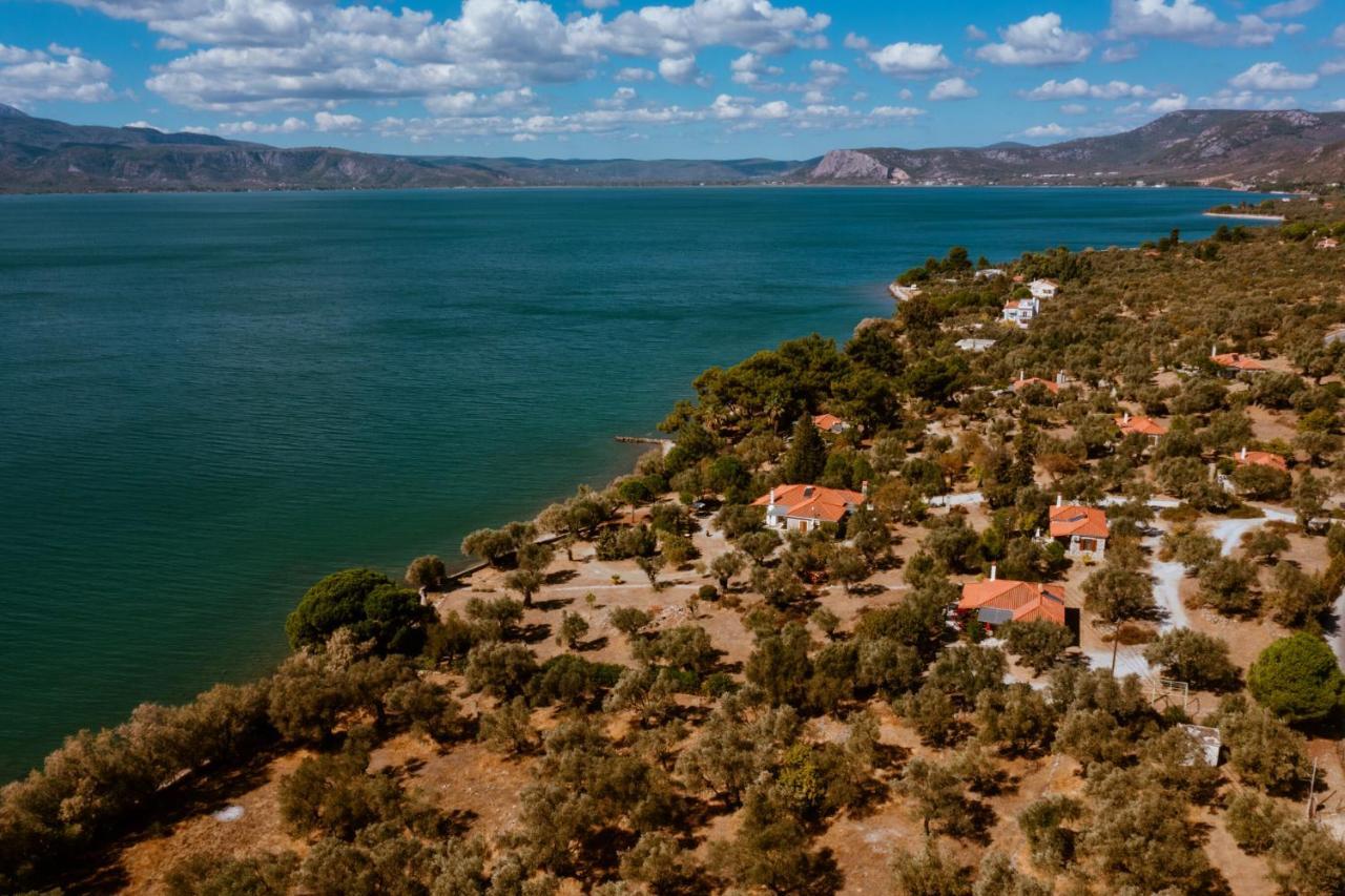 Vila Seafront Traditional Stone House In Sunset Olive Grove - B Alyfanta Exteriér fotografie