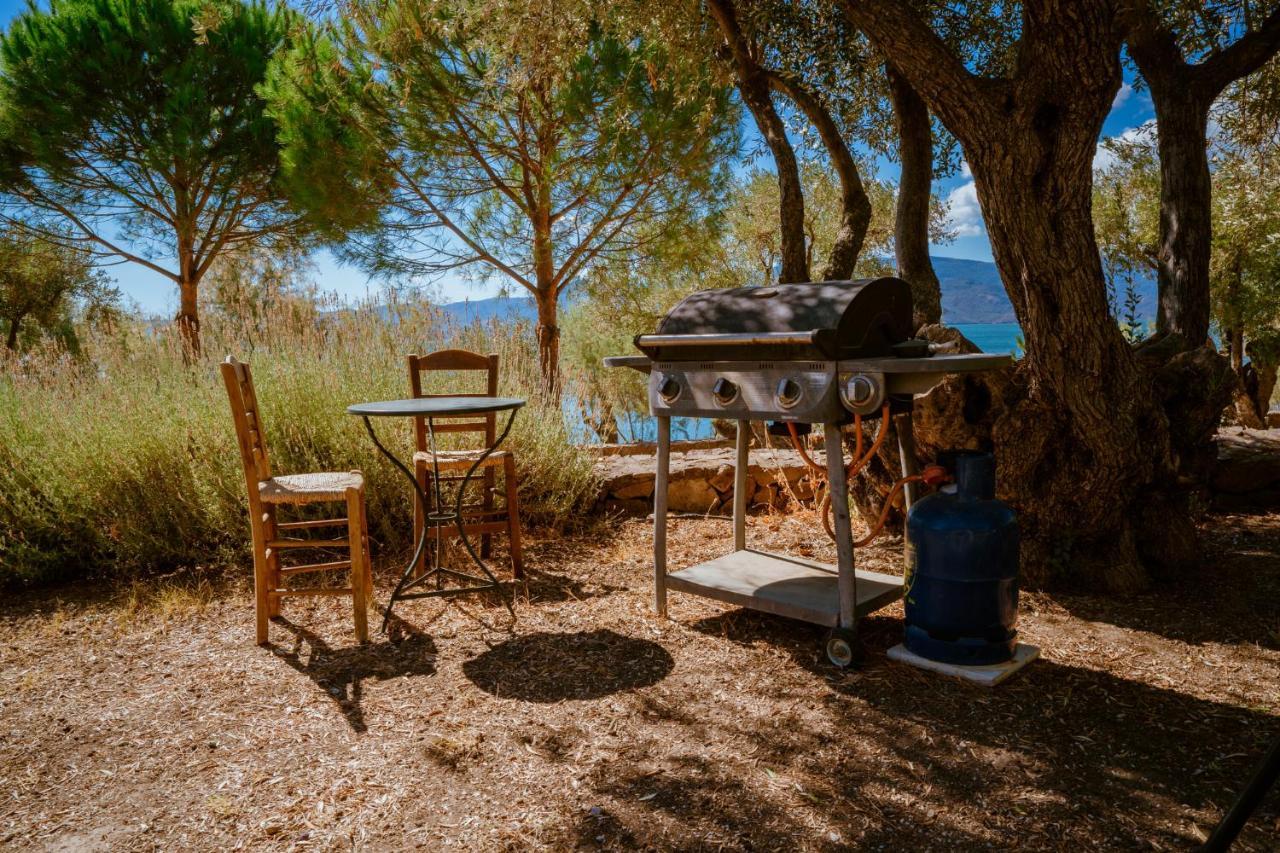 Vila Seafront Traditional Stone House In Sunset Olive Grove - B Alyfanta Exteriér fotografie